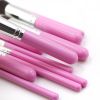 Travel Set Mini Makeup Brush Set of 10 Count (Pink Silver) - default